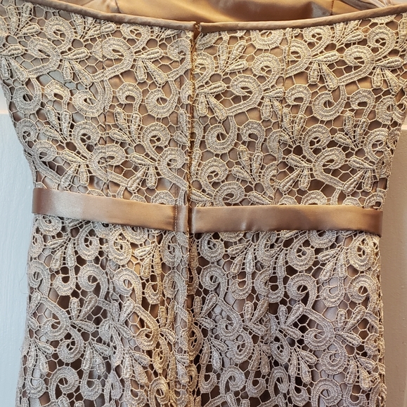 Cache Strapless Gold Midi Embroidered Dress - Picture 6 of 10
